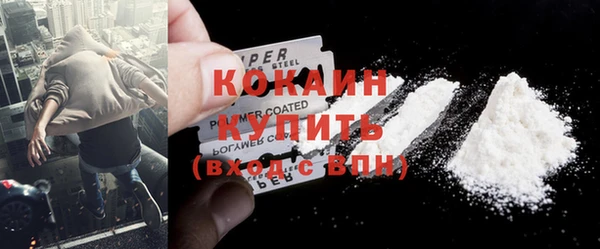 шишки Беломорск