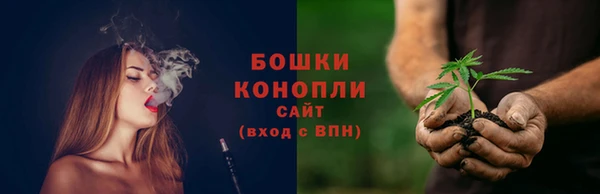 шишки Беломорск