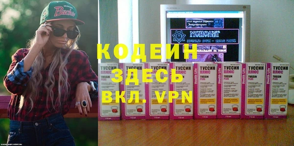 шишки Беломорск
