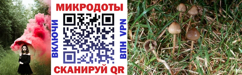 Купить  Мыски  Псилоцибиновые грибы мухоморы 